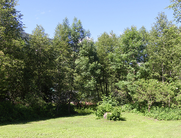 Saisonplaetze-1_600x450 Camping Trun Saisonplätze