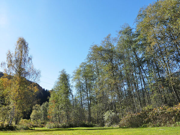 standplatz-dauercamper-e1641578073978
